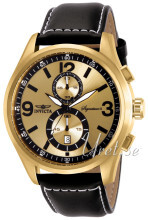 Invicta Signature II Żółte złoto/Skóra Ø48 mm Invicta Signature II Żółte złoto/Skóra Ø48 mm