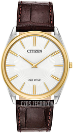 Citizen Eco Drive 180 Biały/Skóra Ø39 mm AR3074-03A