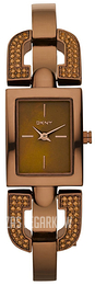 DKNY Glitz Brązowy/Stal NY8468