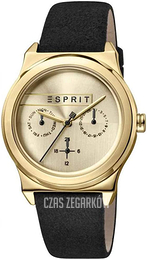 Esprit Szampański/Skóra Ø36 mm ES1L077L0025