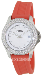 Fossil Srebrny/Guma Ø36 mm AM4464