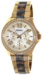 Fossil Cecile Zloty/Pozlacana Ø40 mm AM4499