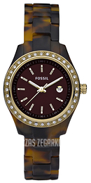 Fossil Stella Brązowy/Plastik Ø30 mm ES2922