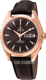 Omega Seamaster Aqua Terra Szary/Skóra Ø43 mm 231.53.43.22.06.001