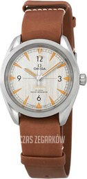 Omega Seamaster Railmaster Szary/Skóra Ø40 mm 220.12.40.20.06.001