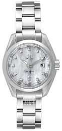 Omega Seamaster Aqua Terra Jewellery Srebrny/Stal Ø30 mm 231.10.30.61.55.001