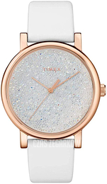 Timex Zestaw kryształów/Skóra Ø38 mm TW2R95000