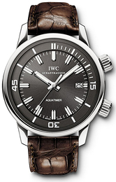 IWC Vintage Collection Aquatimer Czarny/Skóra Ø44 mm IW323104