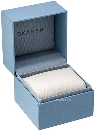 Skagen skw2413 best sale