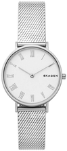 Skagen Hald